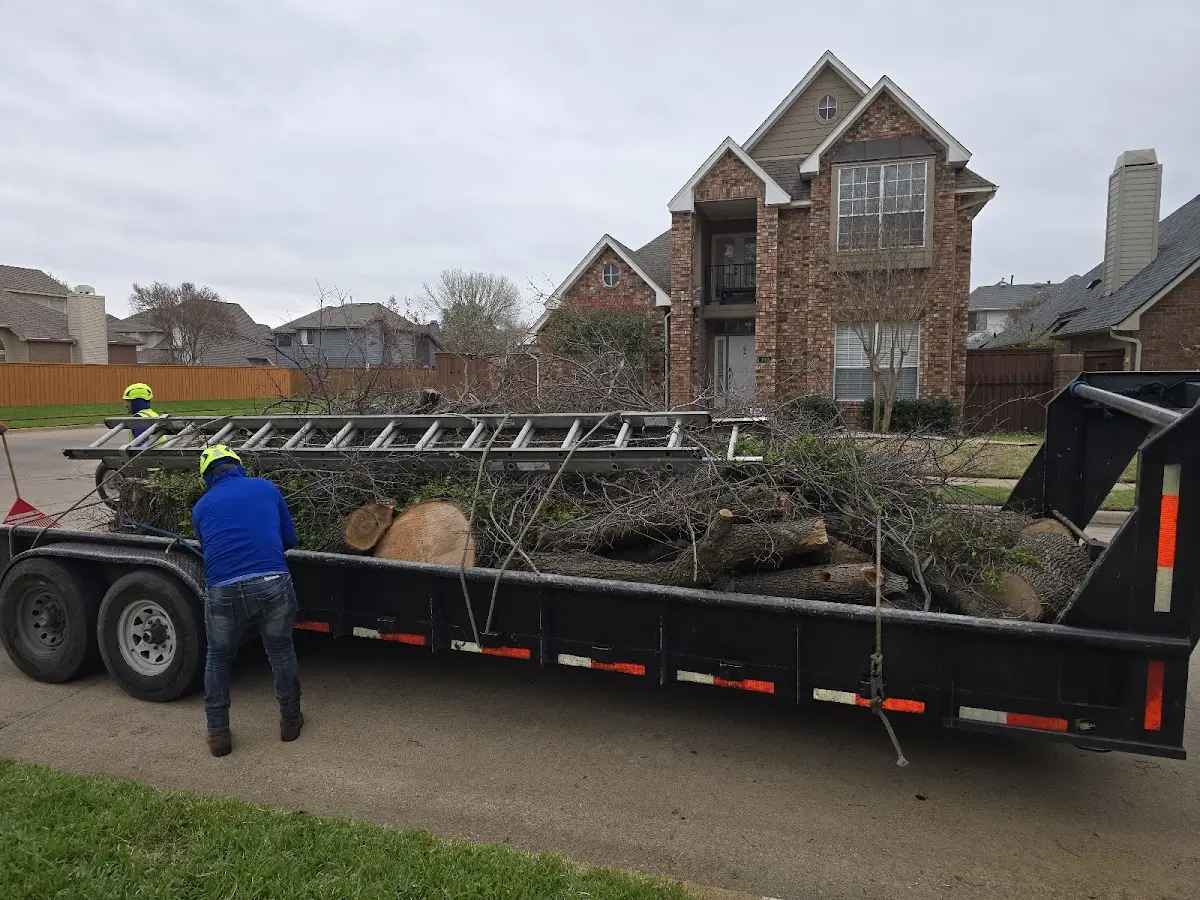 Expert Tree Pest Control with proper safety equipment in Ponca